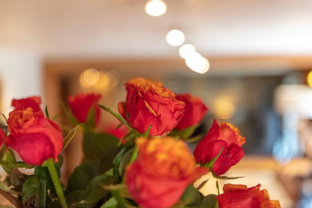 Appartement Marcella モンジェネヴル エクステリア 写真